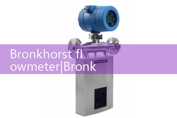 Schematic diagram of mass flowmeter